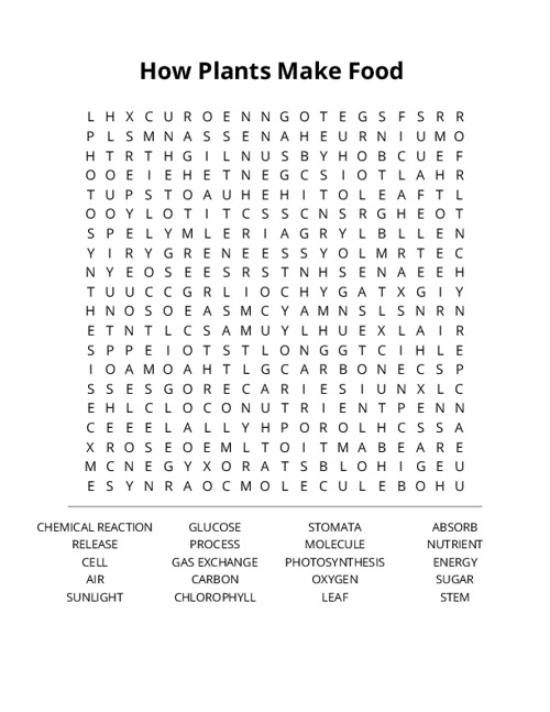 How Plants Make Food Crossword Puzzle