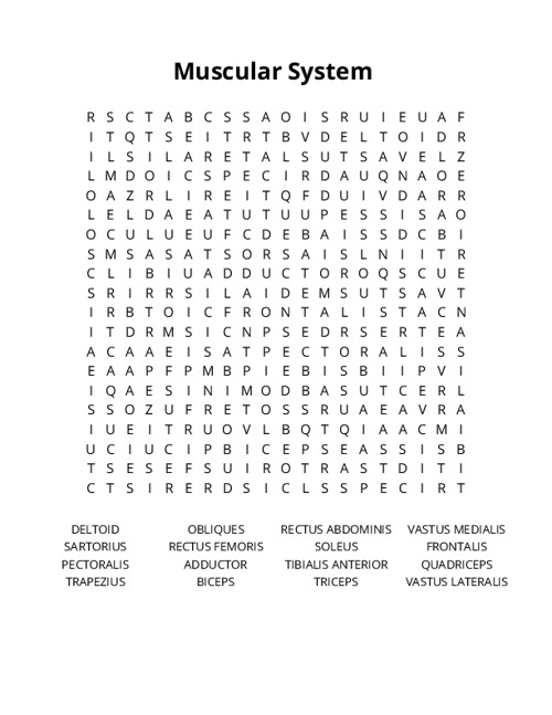 Muscular System Crossword Puzzle